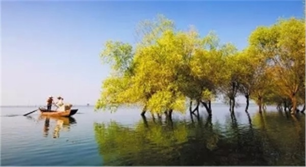 春暖花開南洞庭踏青、云夢七色花洲一日游  