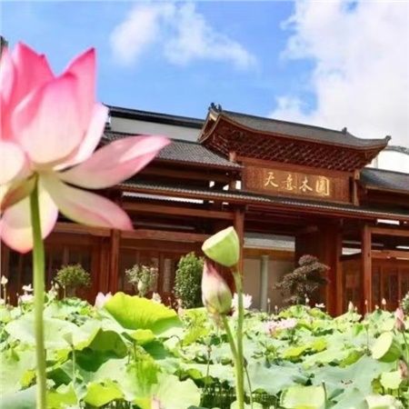 益陽(yáng)天意木國(guó)木文化博物館、金家堤、一碑五館一日游