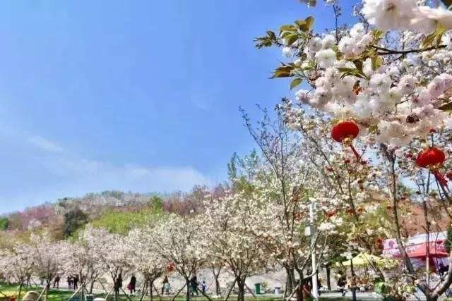 長沙潯龍河櫻花谷、田漢文化園一日游
