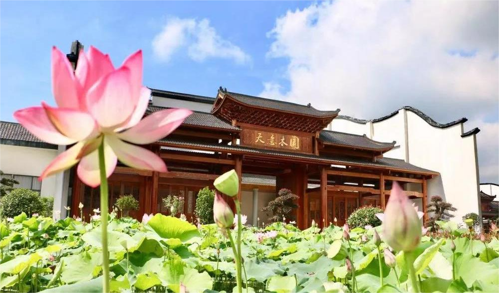 清溪村、天意木國景區(qū)、明清古巷、市博物館、胡林翼故居二日游